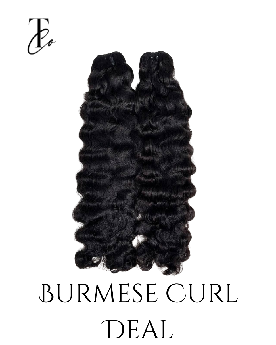 Burmese 3 Bundle Deal